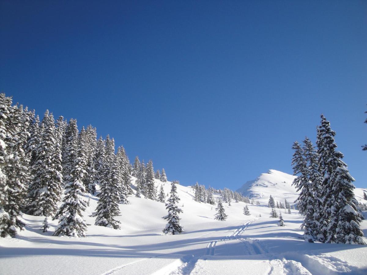 Apart Timeout Hart im Zillertal Bagian luar foto